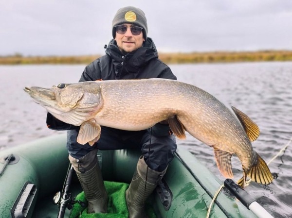 Щука-гигант: белорусский рыбак поймал рыбу длиной 1,2 метра и весом 14 кг! Щука-гигант: белорусский рыбак поймал рыбу длиной 1,2 метра и весом 14 кг!