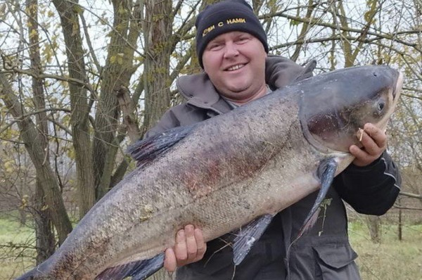 Белорус поймал огромного сазана на 18 килограмм, а затем вытащил такого же толстолобика Белорус поймал огромного сазана на 18 килограмм, а затем вытащил такого же толстолобика