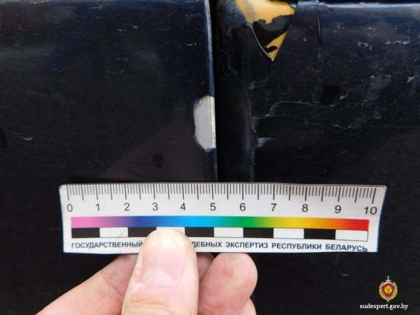 Белорус запрыгнул на капот и крышу автомобиля тёщи