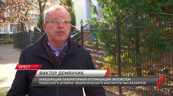 В Бресте в ноябре снова зацвели сирень и шиповник В Бресте в ноябре снова зацвели сирень и шиповник