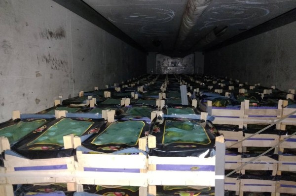 Под коробками с чипсами и водой белорус пытался вывезти 20 тонн груш Под коробками с чипсами и водой белорус пытался вывезти 20 тонн груш