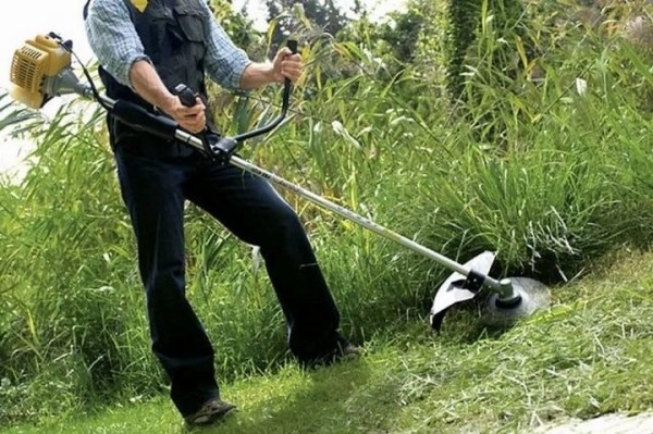 Триммер поразил не только траву: как случай с камнем привел к судебному разбирательству Триммер поразил не только траву: как случай с камнем привел к судебному разбирательству