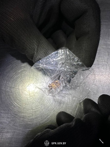 На границе в Бресте задержан украинец. Вот что произошло На границе в Бресте задержан украинец. Вот что произошло