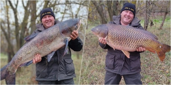 Белорус поймал огромного сазана на 18 килограмм, а затем вытащил такого же толстолобика Белорус поймал огромного сазана на 18 килограмм, а затем вытащил такого же толстолобика