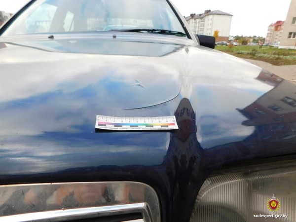 Белорус запрыгнул на капот и крышу автомобиля тёщи