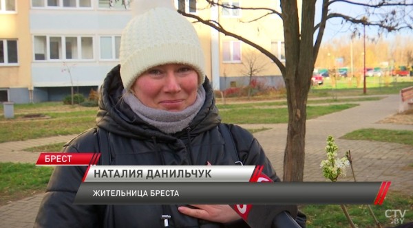 В Бресте в ноябре снова зацвели сирень и шиповник В Бресте в ноябре снова зацвели сирень и шиповник