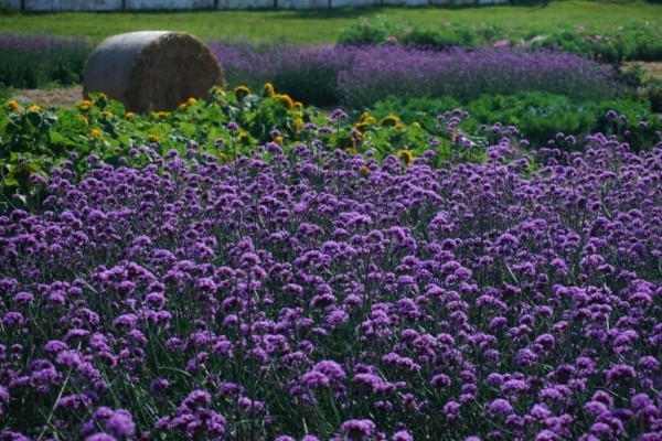 Брестский блогер побывал в гостях у Андрея Малахова Брестский блогер побывал в гостях у Андрея Малахова