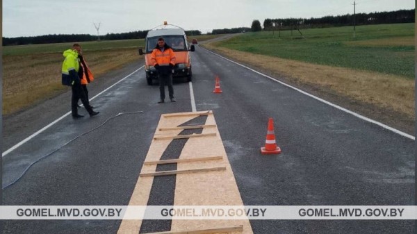 На дорогах Беларуси появилась новая разметка. Что она означает? На дорогах Беларуси появилась новая разметка. Что она означает?