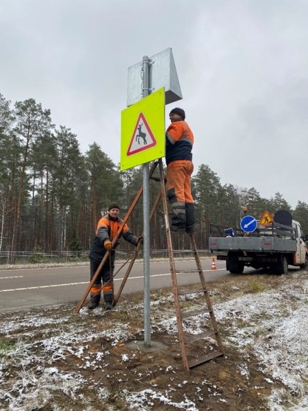 В Беларуси устанавливают дорожные знаки с солнечной батареей. Как они помогают? В Беларуси устанавливают дорожные знаки с солнечной батареей. Как они помогают?