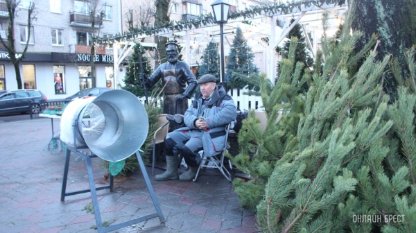 105 тысяч живых елей купили белорусы к Новому году