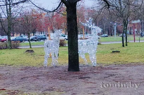 Предновогодний парк Мира в Бресте — фоторепортаж Предновогодний парк Мира в Бресте — фоторепортаж