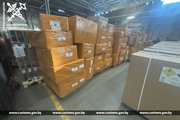 Партию чехлов для мобильных телефонов стоимостью более 300 тыс. рублей пытались ввезти в Беларусь, спрятав среди детских игрушек Партию чехлов для мобильных телефонов стоимостью более 300 тыс. рублей пытались ввезти в Беларусь, спрятав среди детских игрушек