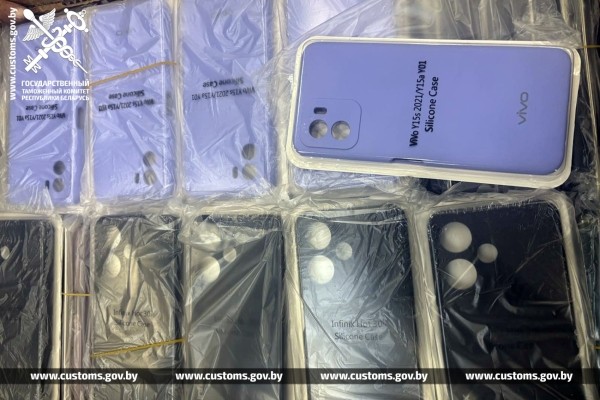 Партию чехлов для мобильных телефонов стоимостью более 300 тыс. рублей пытались ввезти в Беларусь, спрятав среди детских игрушек Партию чехлов для мобильных телефонов стоимостью более 300 тыс. рублей пытались ввезти в Беларусь, спрятав среди детских игрушек