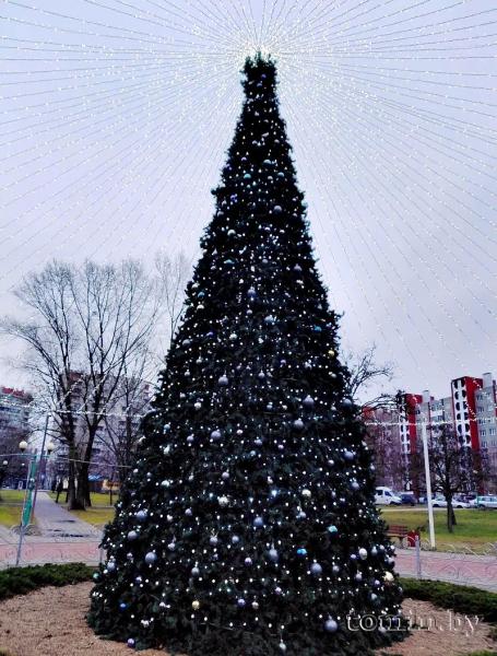 Предновогодний парк Мира в Бресте — фоторепортаж Предновогодний парк Мира в Бресте — фоторепортаж