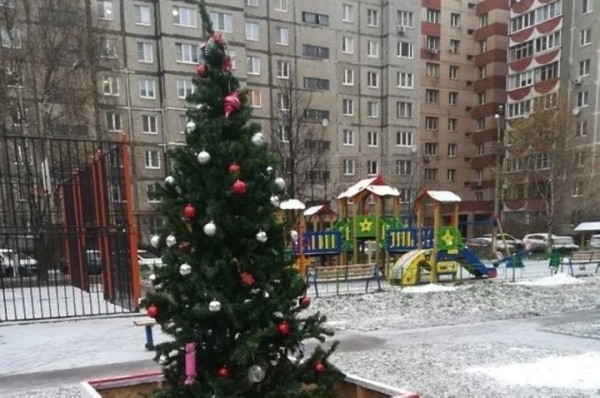 Можно ли во дворе многоэтажки установить ёлку? Пояснила адвокат Можно ли во дворе многоэтажки установить ёлку? Пояснила адвокат