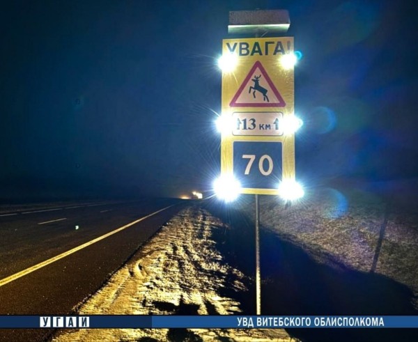 В Беларуси устанавливают дорожные знаки с солнечной батареей. Как они помогают? В Беларуси устанавливают дорожные знаки с солнечной батареей. Как они помогают?