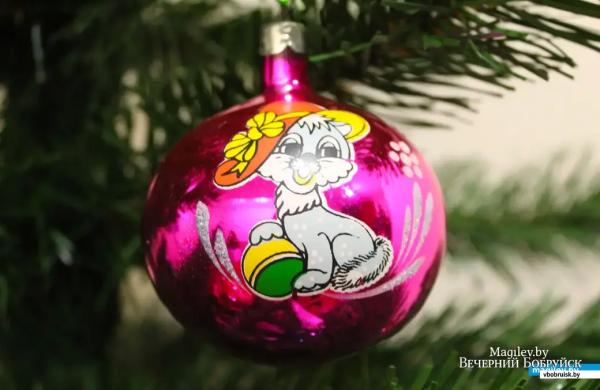 В коллекции белоруски более 2 тысяч новогодних игрушек из времен СССР