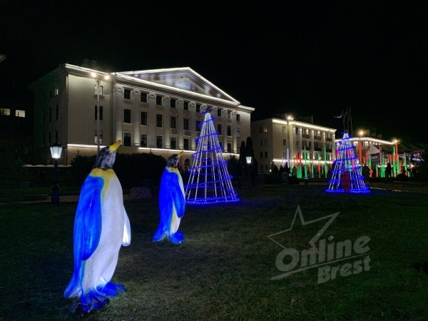 Главная новогодняя красавица Бреста зажглась — видео