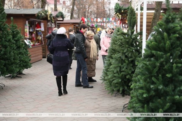 Сходили на предновогодние ярмарки и поговорили с брестчанами Сходили на предновогодние ярмарки и поговорили с брестчанами