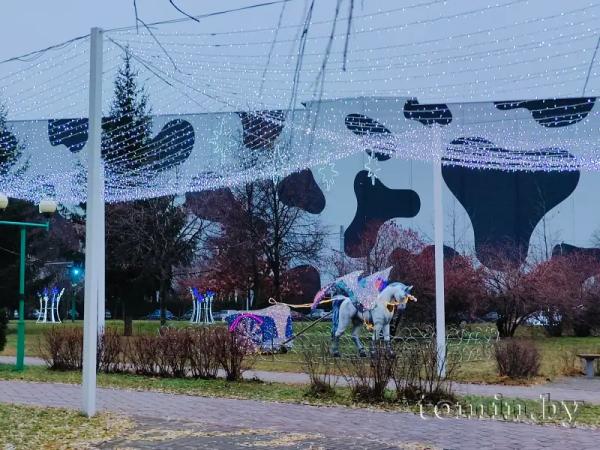Предновогодний парк Мира в Бресте — фоторепортаж Предновогодний парк Мира в Бресте — фоторепортаж