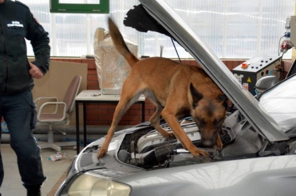 Белорус попался в Польше с контрабандой сигарет в автомобиле. Где он их спрятал? Белорус попался в Польше с контрабандой сигарет в автомобиле. Где он их спрятал?