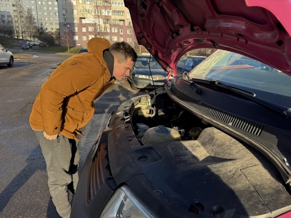 Розовый Volkswagen T5 шесть лет находится в продаже Розовый Volkswagen T5 шесть лет находится в продаже