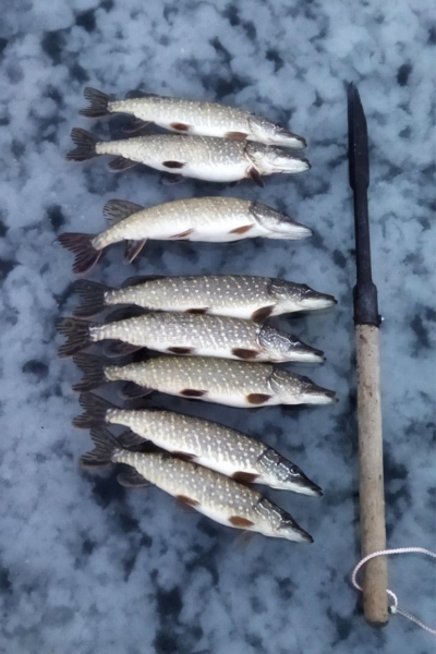 Белорус рассказал, как решил порыбачить под Барановичами на льду в конце января Белорус рассказал, как решил порыбачить под Барановичами на льду в конце января