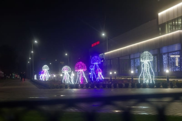Вечер в новогоднем Бресте — фоторепортаж Вечер в новогоднем Бресте — фоторепортаж