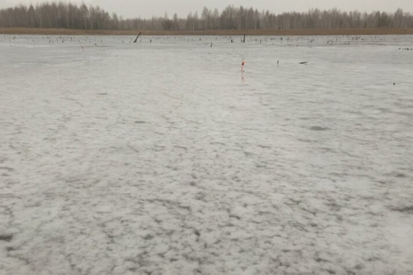 Белорус рассказал, как решил порыбачить под Барановичами на льду в конце января Белорус рассказал, как решил порыбачить под Барановичами на льду в конце января