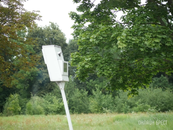 В прошлом году почти 2000 водителей без прав были выявлены с помощью камер. Это как? В прошлом году почти 2000 водителей без прав были выявлены с помощью камер. Это как?