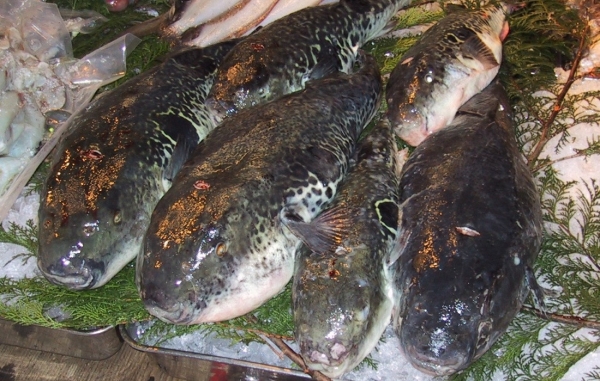 Исследователи назвали три самых смертоносных продукта в мире — один из них часто встречается в Беларуси Исследователи назвали три самых смертоносных продукта в мире — один из них часто встречается в Беларуси