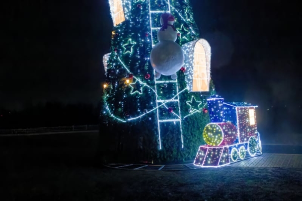 Вечер в новогоднем Бресте — фоторепортаж Вечер в новогоднем Бресте — фоторепортаж
