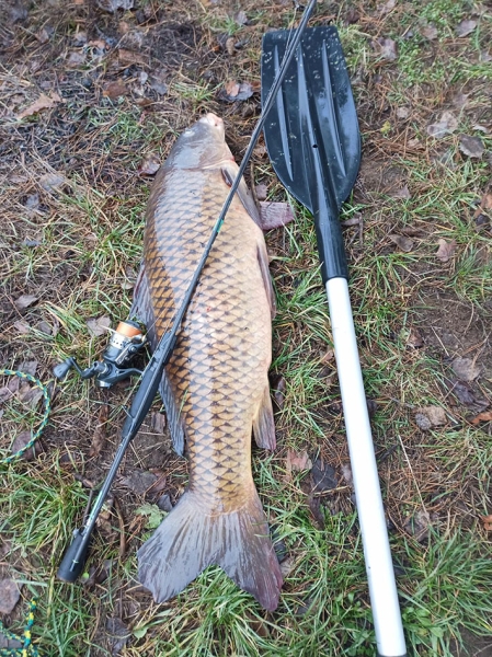 Трофейный улов: рыбак поймал сазана весом более 8 кг! Трофейный улов: рыбак поймал сазана весом более 8 кг!