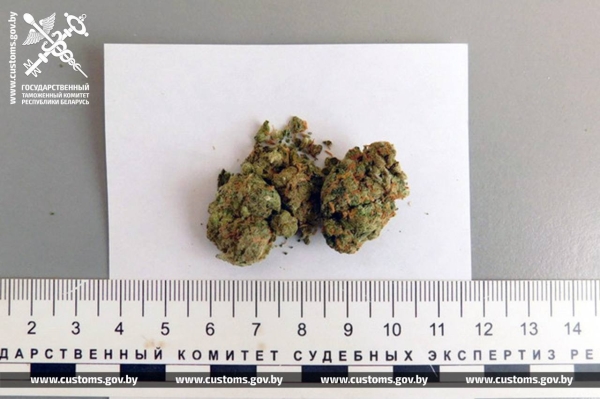 На границе в Бресте задержан пассажир автобуса На границе в Бресте задержан пассажир автобуса