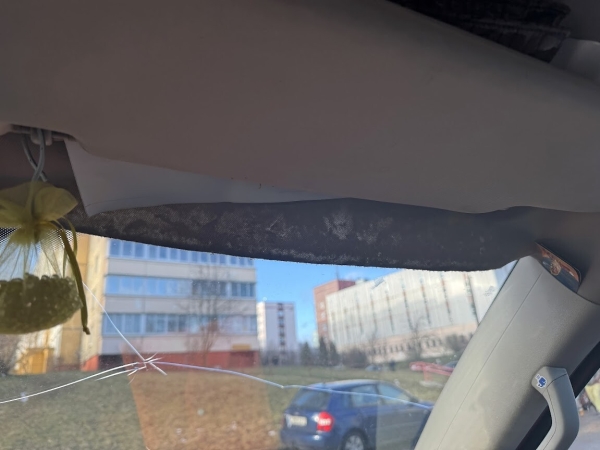 Розовый Volkswagen T5 шесть лет находится в продаже Розовый Volkswagen T5 шесть лет находится в продаже