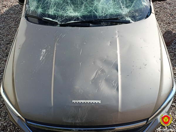 В Бресте припаркованный автомобиль забросали камнями. Из-за чего? В Бресте припаркованный автомобиль забросали камнями. Из-за чего?