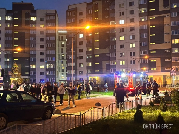 Если спасатели не могут проехать, то имеют право повредить неправильно припаркованные авто? В МЧС ответили Если спасатели не могут проехать, то имеют право повредить неправильно припаркованные авто? В МЧС ответили