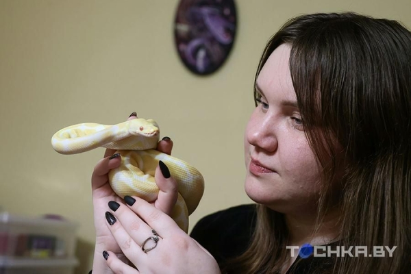 У этой пары из Беларуси живут 29 змей У этой пары из Беларуси живут 29 змей