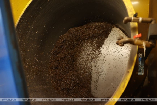 Рассказываем, как выращивают новые леса в Брестской области