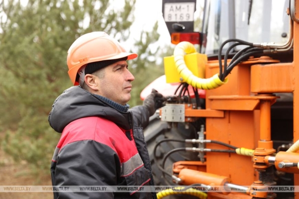Рассказываем, как выращивают новые леса в Брестской области