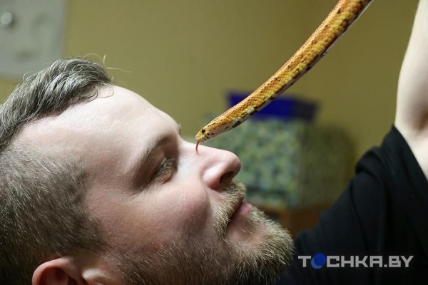 У этой пары из Беларуси живут 29 змей У этой пары из Беларуси живут 29 змей