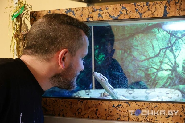 У этой пары из Беларуси живут 29 змей У этой пары из Беларуси живут 29 змей