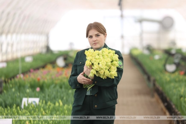 Цветочный рай в Ивацевичах: побывали в теплице с 100 тысячами тюльпанов Цветочный рай в Ивацевичах: побывали в теплице с 100 тысячами тюльпанов