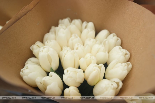 Цветочный рай в Ивацевичах: побывали в теплице с 100 тысячами тюльпанов Цветочный рай в Ивацевичах: побывали в теплице с 100 тысячами тюльпанов