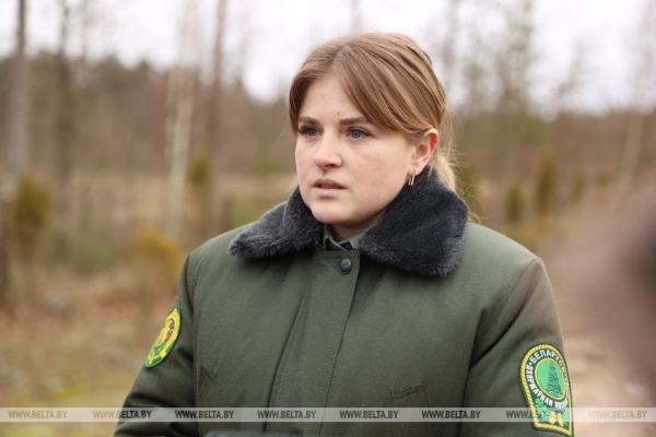 Рассказываем, как выращивают новые леса в Брестской области