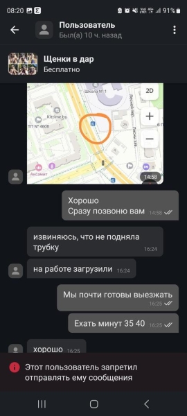 «Делают взрослый голос, врут про маму». Зачем школьникам массово понадобились щенки?