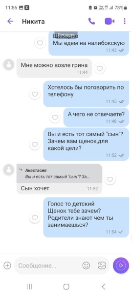 «Делают взрослый голос, врут про маму». Зачем школьникам массово понадобились щенки?