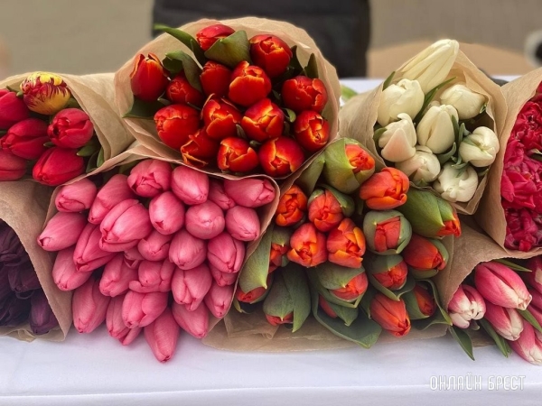 Более 600 тысяч цветов планируют продать на ярмарке в Бресте Более 600 тысяч цветов планируют продать на ярмарке в Бресте