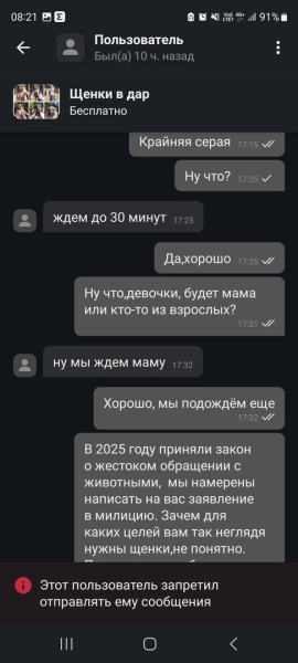 «Делают взрослый голос, врут про маму». Зачем школьникам массово понадобились щенки?