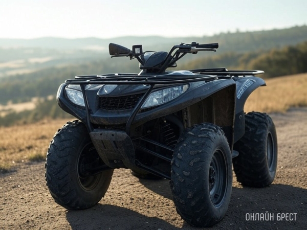 Пинчане погнались за дешевыми квадроциклами и остались ни с чем Пинчане погнались за дешевыми квадроциклами и остались ни с чем